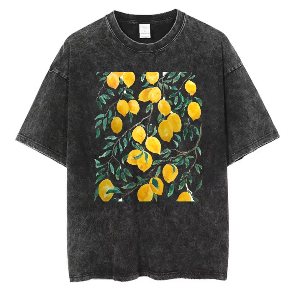 Vintage Washed Cotton T-Shirt  - Acid Wash Vintage Graphic T Shirt recension och pris