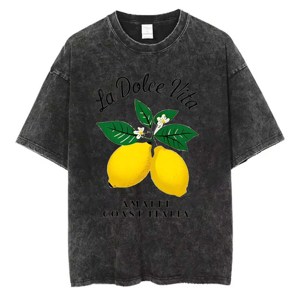 Vintage Washed Cotton T-Shirt  - Acid Wash Vintage Graphic T Shirt recension och pris